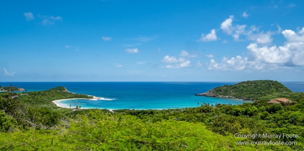 Antigua, Architecture, Devil's Bridge, English Harbour, Half Moon Bay, Landscape, Nature, Parham, Photography, seascape, Shirley Heights, Street photography, Travel, Wildlife
