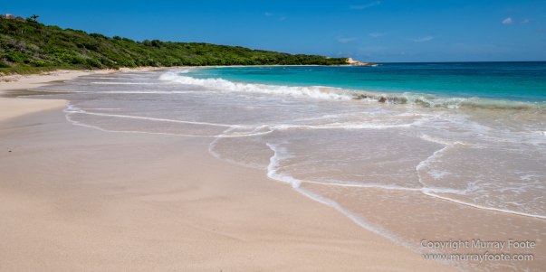 Antigua, Architecture, Devil's Bridge, English Harbour, Half Moon Bay, Landscape, Nature, Parham, Photography, seascape, Shirley Heights, Street photography, Travel, Wildlife