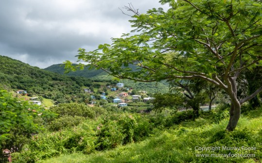 Antigua, Architecture, English Harbour, Landscape, Nature, Photography, seascape, Street photography, Travel, Wildlife