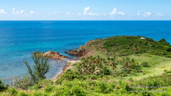 Antigua, Architecture, English Harbour, Landscape, Nature, Photography, seascape, Street photography, Travel, Wildlife