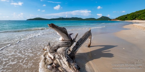 Antigua, Architecture, English Harbour, Landscape, Nature, Photography, seascape, Street photography, Travel, Wildlife