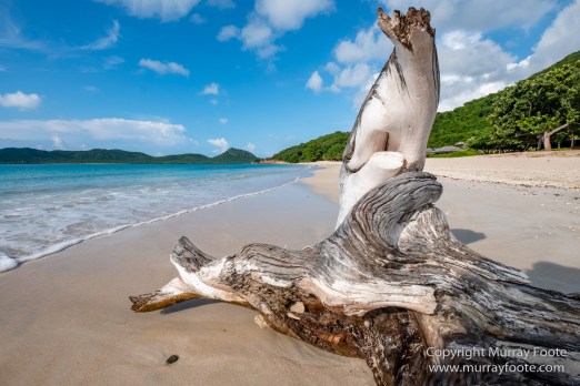 Antigua, Architecture, English Harbour, Landscape, Nature, Photography, seascape, Street photography, Travel, Wildlife