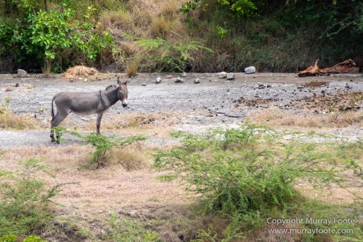 Archaeology, Architecture, History, Landscape, Montserrat, Nature, Photography, seascape, Slavery, Travel, Volcano