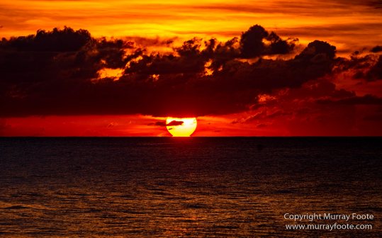 Architecture, Jamaica, Landscape, Nature, Pelicans, Photography, seascape, Street photography, Travel, Treasure Beach, Wildlife