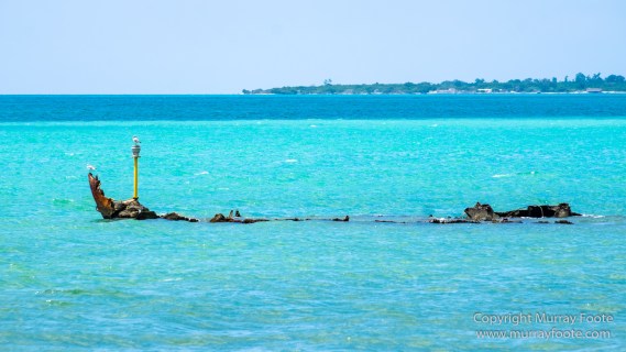 Appleton Estate Rum, Architecture, Jamaica, Landscape, Nature, Pelicans, Photography, seascape, Street photography, Travel, Treasure Beach, Wildlife