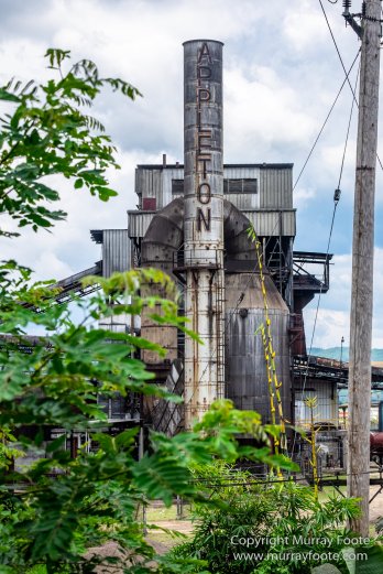Appleton Estate Rum, Architecture, Jamaica, Landscape, Nature, Pelicans, Photography, seascape, Street photography, Travel, Treasure Beach, Wildlife