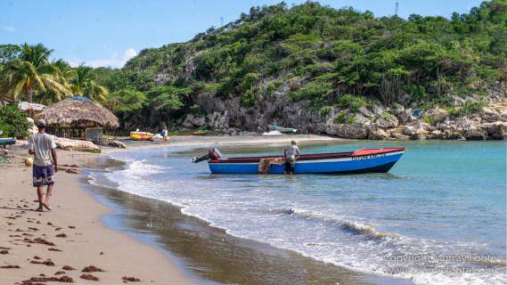 Appleton Estate Rum, Architecture, Jamaica, Landscape, Nature, Pelicans, Photography, seascape, Street photography, Travel, Treasure Beach, Wildlife