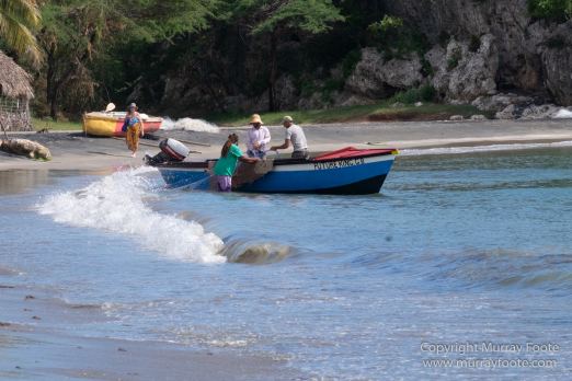 Appleton Estate Rum, Architecture, Jamaica, Landscape, Nature, Pelicans, Photography, seascape, Street photography, Travel, Treasure Beach, Wildlife