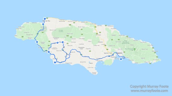 Architecture, Jamaica, Landscape, Nature, Pelicans, Photography, seascape, Street photography, Travel, Treasure Beach, Wildlife