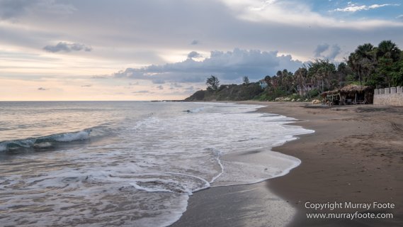 Architecture, Jamaica, Landscape, Nature, Pelicans, Photography, seascape, Street photography, Travel, Treasure Beach, Wildlife