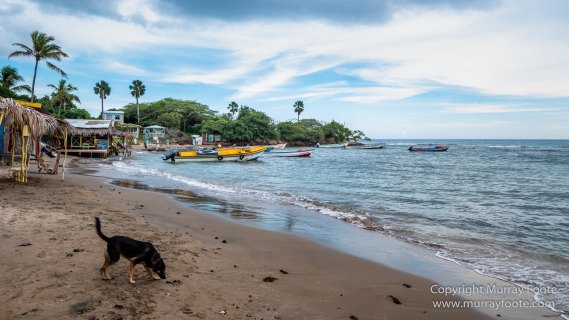 Architecture, Jamaica, Landscape, Nature, Pelicans, Photography, seascape, Street photography, Travel, Treasure Beach, Wildlife