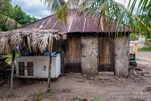 Architecture, Jamaica, Landscape, Nature, Pelicans, Photography, seascape, Street photography, Travel, Treasure Beach, Wildlife