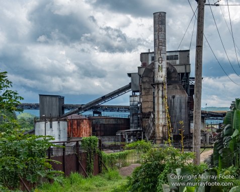 Appleton Estate Rum, Architecture, Jamaica, Landscape, Nature, Pelicans, Photography, seascape, Street photography, Travel, Treasure Beach, Wildlife