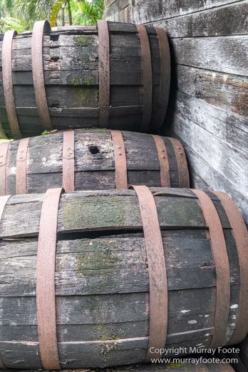 Appleton Estate Rum, Architecture, Jamaica, Landscape, Nature, Pelicans, Photography, seascape, Street photography, Travel, Treasure Beach, Wildlife