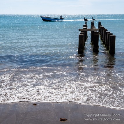 Appleton Estate Rum, Architecture, Jamaica, Landscape, Nature, Pelicans, Photography, seascape, Street photography, Travel, Treasure Beach, Wildlife