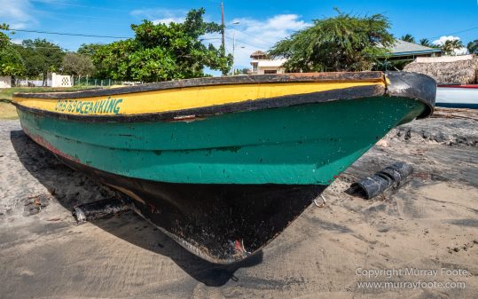 Appleton Estate Rum, Architecture, Jamaica, Landscape, Nature, Pelicans, Photography, seascape, Street photography, Travel, Treasure Beach, Wildlife