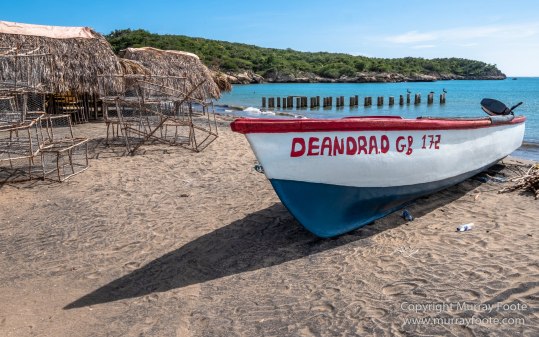 Appleton Estate Rum, Architecture, Jamaica, Landscape, Nature, Pelicans, Photography, seascape, Street photography, Travel, Treasure Beach, Wildlife