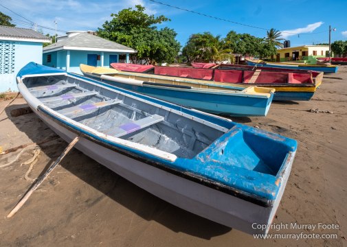 Appleton Estate Rum, Architecture, Jamaica, Landscape, Nature, Pelicans, Photography, seascape, Street photography, Travel, Treasure Beach, Wildlife