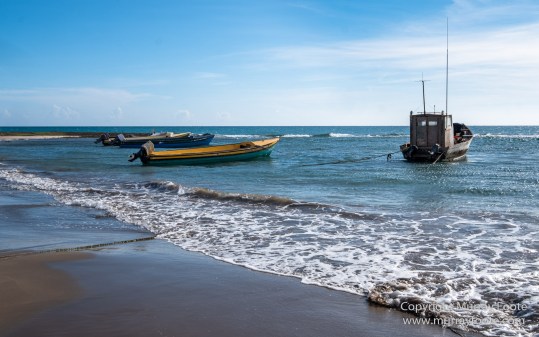 Appleton Estate Rum, Architecture, Jamaica, Landscape, Nature, Pelicans, Photography, seascape, Street photography, Travel, Treasure Beach, Wildlife
