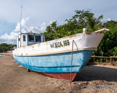 Appleton Estate Rum, Architecture, Jamaica, Landscape, Nature, Pelicans, Photography, seascape, Street photography, Travel, Treasure Beach, Wildlife
