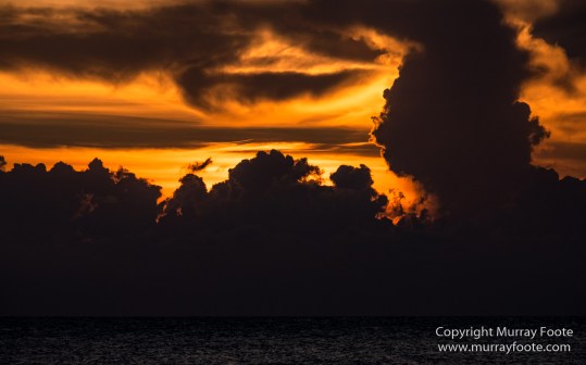 Appleton Estate Rum, Architecture, Jamaica, Landscape, Nature, Pelicans, Photography, seascape, Street photography, Travel, Treasure Beach, Wildlife