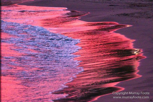 Appleton Estate Rum, Architecture, Jamaica, Landscape, Nature, Pelicans, Photography, seascape, Street photography, Travel, Treasure Beach, Wildlife