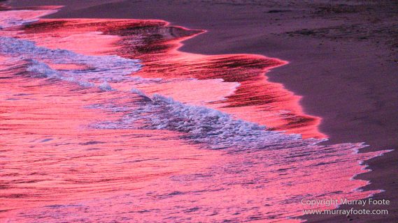 Appleton Estate Rum, Architecture, Jamaica, Landscape, Nature, Pelicans, Photography, seascape, Street photography, Travel, Treasure Beach, Wildlife