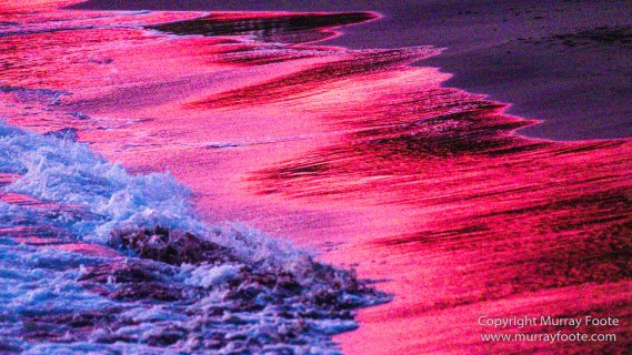 Appleton Estate Rum, Architecture, Jamaica, Landscape, Nature, Pelicans, Photography, seascape, Street photography, Travel, Treasure Beach, Wildlife