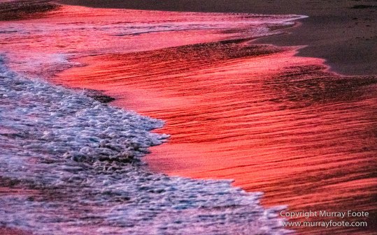 Appleton Estate Rum, Architecture, Jamaica, Landscape, Nature, Pelicans, Photography, seascape, Street photography, Travel, Treasure Beach, Wildlife