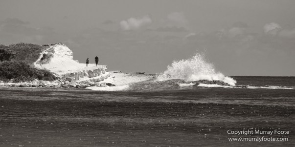 Antigua, Architecture, Black and White, History, Landscape, Macro, Monochrome, Nature, Photography, seascape, Street photography, Travel, Wildlife