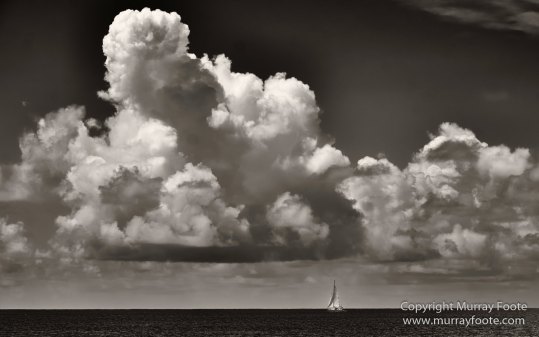 Antigua, Architecture, Black and White, History, Landscape, Macro, Monochrome, Nature, Photography, seascape, Street photography, Travel, Wildlife