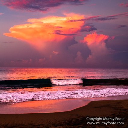 Architecture, Black River, Boats, Cattle Egret, Crocodiles, Jamaica, Landscape, Nature, Photography, seascape, Street photography, Travel, Treasure Beach, Wilderness, Wildlife