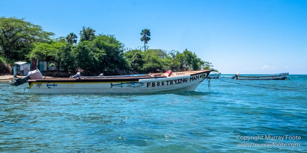Architecture, Black River, Boats, Cattle Egret, Crocodiles, Jamaica, Landscape, Nature, Photography, seascape, Street photography, Travel, Treasure Beach, Wilderness, Wildlife
