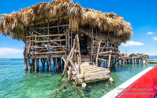 Architecture, Black River, Boats, Cattle Egret, Crocodiles, Jamaica, Landscape, Nature, Photography, seascape, Street photography, Travel, Treasure Beach, Wilderness, Wildlife