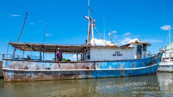 Architecture, Black River, Boats, Cattle Egret, Crocodiles, Jamaica, Landscape, Nature, Photography, seascape, Street photography, Travel, Treasure Beach, Wilderness, Wildlife