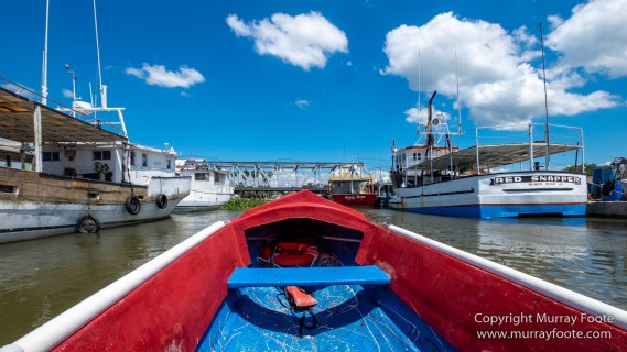Architecture, Black River, Boats, Cattle Egret, Crocodiles, Jamaica, Landscape, Nature, Photography, seascape, Street photography, Travel, Treasure Beach, Wilderness, Wildlife