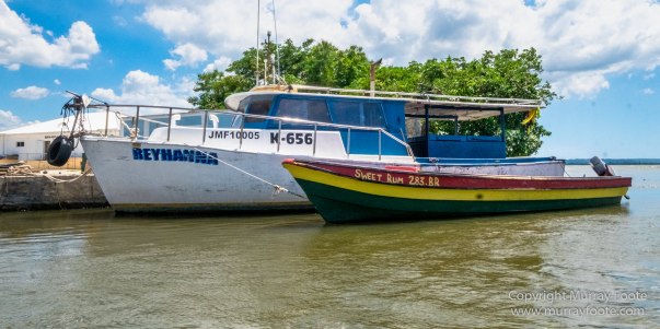 Architecture, Black River, Boats, Cattle Egret, Crocodiles, Jamaica, Landscape, Nature, Photography, seascape, Street photography, Travel, Treasure Beach, Wilderness, Wildlife