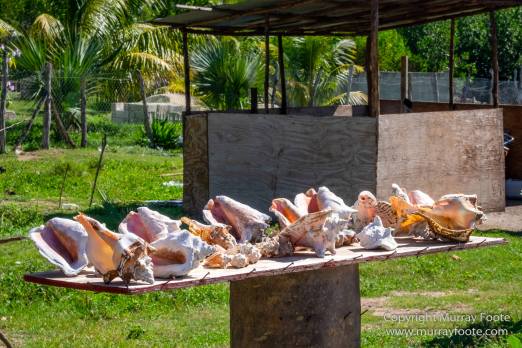 Architecture, Boats, Jamaica, Landscape, Montego Bay, Nature, Photography, seascape, Street photography, Travel, Treasure Beach, Wilderness, Wildlife