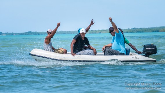 Architecture, Black River, Boats, Cattle Egret, Crocodiles, Jamaica, Landscape, Nature, Photography, seascape, Street photography, Travel, Treasure Beach, Wilderness, Wildlife