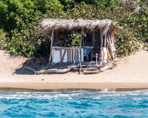 Architecture, Black River, Boats, Cattle Egret, Crocodiles, Jamaica, Landscape, Nature, Photography, seascape, Street photography, Travel, Treasure Beach, Wilderness, Wildlife
