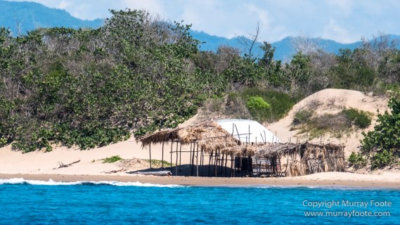 Architecture, Black River, Boats, Cattle Egret, Crocodiles, Jamaica, Landscape, Nature, Photography, seascape, Street photography, Travel, Treasure Beach, Wilderness, Wildlife