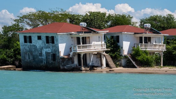 Architecture, Black River, Boats, Cattle Egret, Crocodiles, Jamaica, Landscape, Nature, Photography, seascape, Street photography, Travel, Treasure Beach, Wilderness, Wildlife