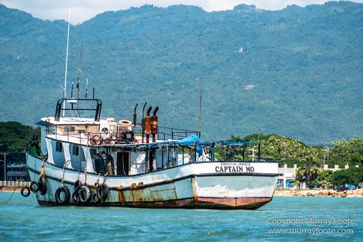 Architecture, Black River, Boats, Cattle Egret, Crocodiles, Jamaica, Landscape, Nature, Photography, seascape, Street photography, Travel, Treasure Beach, Wilderness, Wildlife