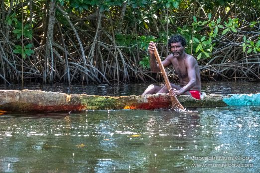 Architecture, Black River, Boats, Cattle Egret, Crocodiles, Jamaica, Landscape, Nature, Photography, seascape, Street photography, Travel, Treasure Beach, Wilderness, Wildlife