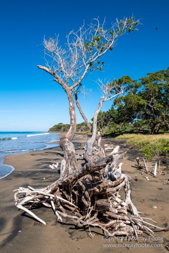 Architecture, Boats, Jamaica, Landscape, Montego Bay, Nature, Photography, seascape, Street photography, Travel, Treasure Beach, Wilderness, Wildlife