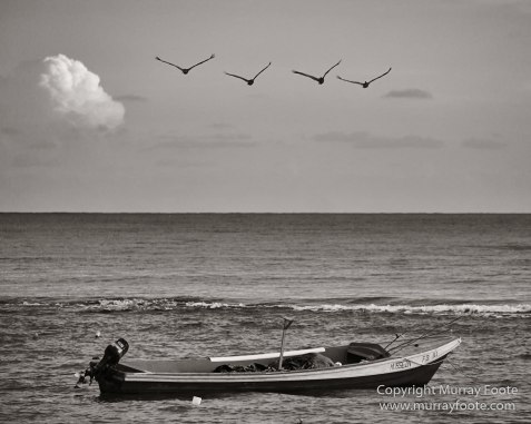 Architecture, Black and White, History, Jamaica, Landscape, Monochrome, Nature, Photography, Street photography, Travel, Wilderness, Wildlife