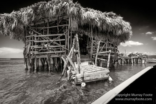 Architecture, Black and White, History, Jamaica, Landscape, Monochrome, Nature, Photography, Street photography, Travel, Wilderness, Wildlife