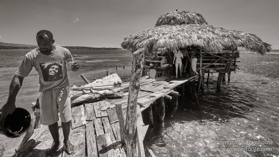 Architecture, Black and White, History, Jamaica, Landscape, Monochrome, Nature, Photography, Street photography, Travel, Wilderness, Wildlife