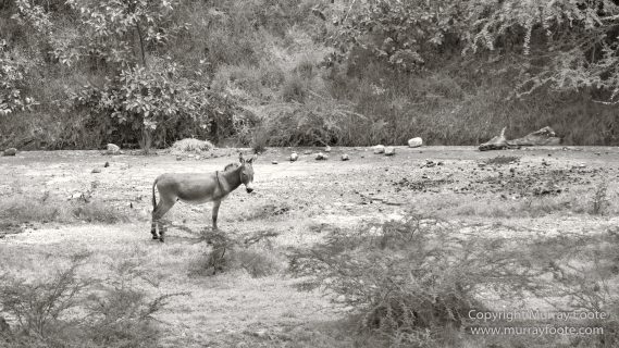 Architecture, Black and White, History, Landscape, Monochrome, Montserrat, Nature, Photography, seascape, Street photography, Travel, Volcano