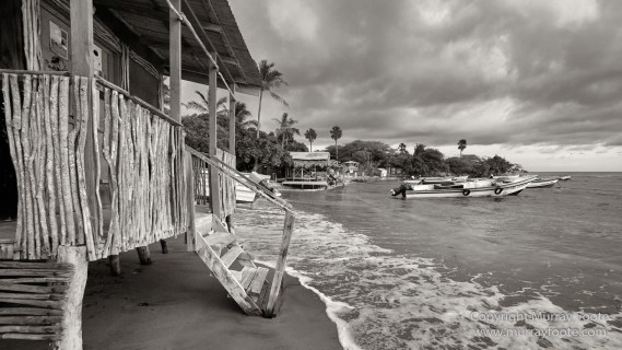 Architecture, Black and White, History, Jamaica, Landscape, Monochrome, Nature, Photography, Street photography, Travel, Wilderness, Wildlife